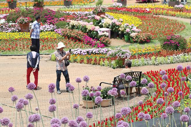 강진 작천 부흥마을. 전남도 제공