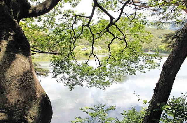 경남 밀양 위양못. 한국관광공사제공