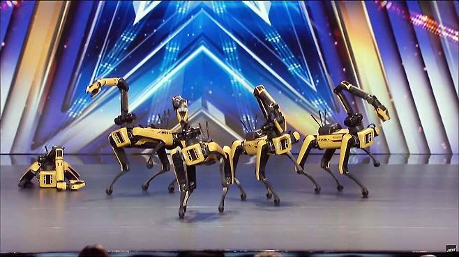 보스턴다이내믹스 로봇개 '스팟'이 미국 NBC 프로그램 '아메리카 갓 탤런트'에 출연해 춤을 추고 있다. 아메리카 갓 탤런트 유튜브 캡처