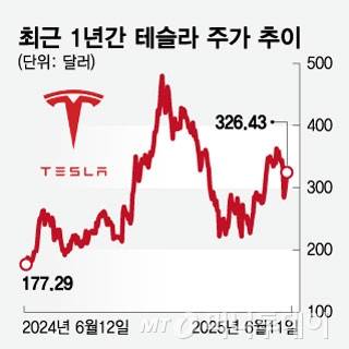 최근 1년간 테슬라 주가 추이/그래픽=임종철