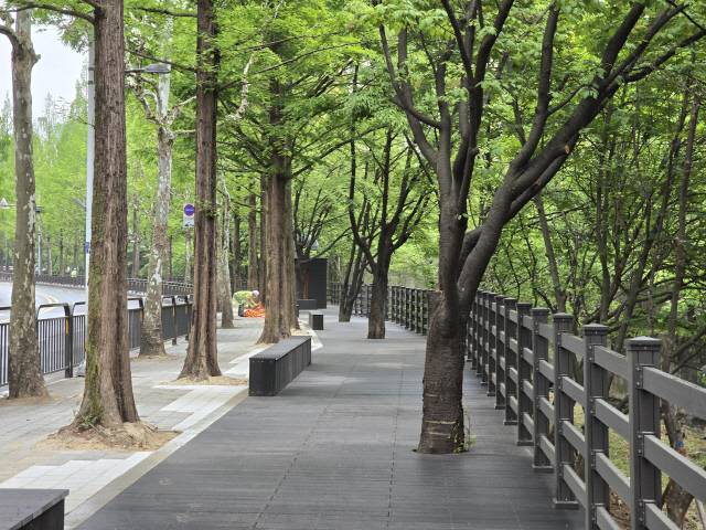 성남 야탑천 오야소리길. /사진제공=성남시