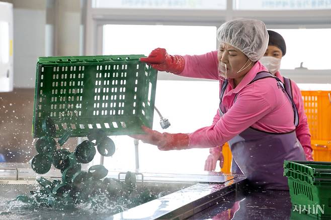 공공세척센터 직원이 애벌 세척 과정에서 85℃ 고온의 물에 다회용기를 넣고 있다. ⓒ시사IN 신선영