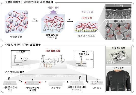 신축성 회로 기술 개념도 [부산대 제공]