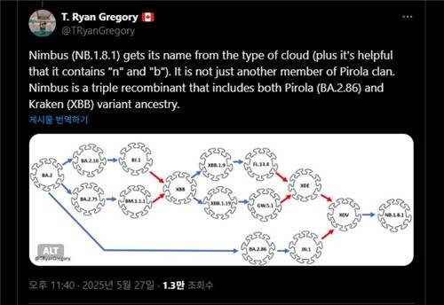 코로나19 '님버스 변이' 이름 유래 설명하는 게시물  (서울=연합뉴스) 2025년 5월 27일 캐나다의 진화생물학자 T. 라이언 그레고리가 코로나19 바이러스의 '님버스' 변이에 이런 이름이 붙은 이유를 설명하기 위해 소셜미디어 X에 올린 글. [X @TRyanGregory 게시물 캡처. DB 및 재판매 금지] 2025.6.12.