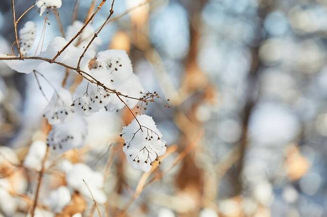 게티이미지뱅크