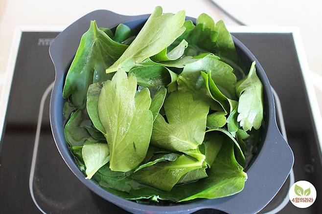 방풍나물을 데치는 모습