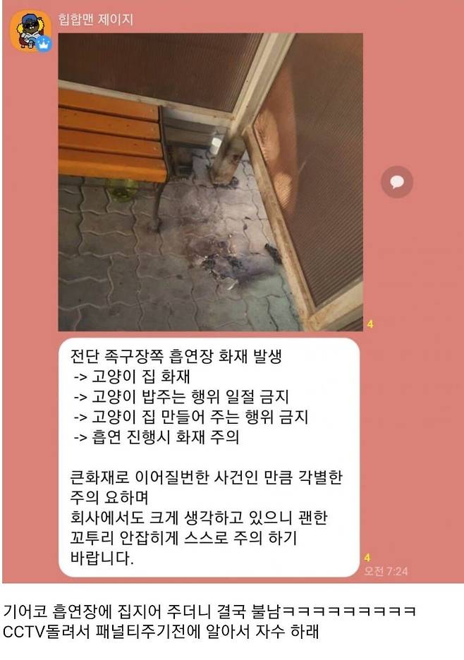 캣망2.jpg 회사 흡연장에서 고양이 밥 주다 불 낸 직원...jpg 회사 흡연장에서 고양이 밥 주다 불 낸 직원...jpg