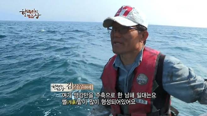 한국인의 밥상 - 왕밤송이게 된장찌개 , 왕밤송이게 찜(스압) 한국인의 밥상 - 왕밤송이게 된장찌개 , 왕밤송이게 찜.jpg