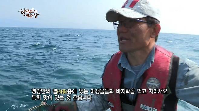 한국인의 밥상 - 왕밤송이게 된장찌개 , 왕밤송이게 찜(스압) 한국인의 밥상 - 왕밤송이게 된장찌개 , 왕밤송이게 찜.jpg