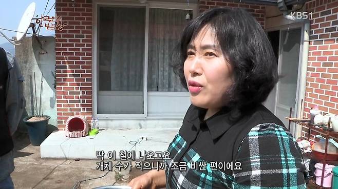 한국인의 밥상 - 왕밤송이게 된장찌개 , 왕밤송이게 찜(스압) 한국인의 밥상 - 왕밤송이게 된장찌개 , 왕밤송이게 찜.jpg