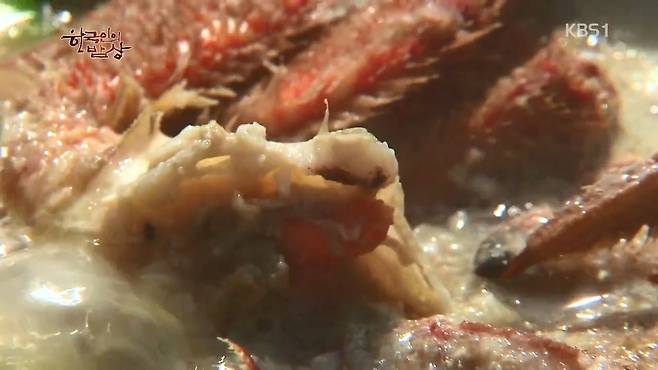 한국인의 밥상 - 왕밤송이게 된장찌개 , 왕밤송이게 찜(스압) 한국인의 밥상 - 왕밤송이게 된장찌개 , 왕밤송이게 찜.jpg