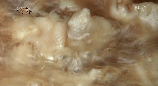 다운로드 (5).png 한국인의 밥상 닭발편육.jpg 한국인의 밥상 - 닭발편육.jpg