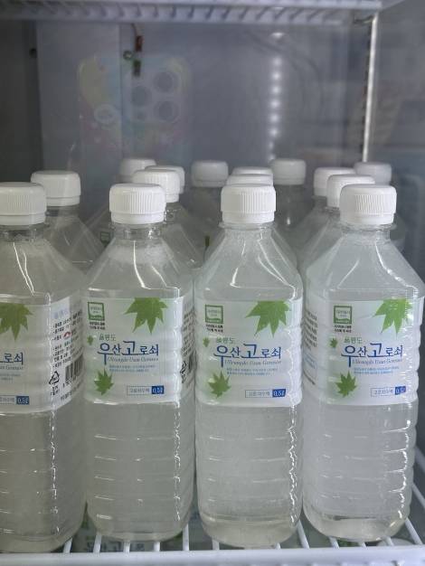 울릉도에서만 맛볼 수 있는 우산고로쇠물. /강은영 기자