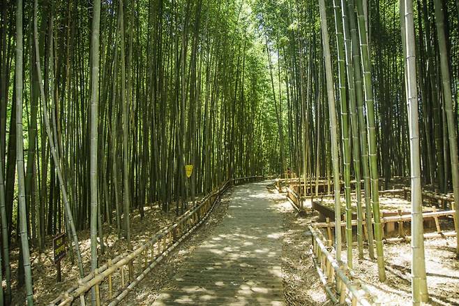 남지개비리 전경