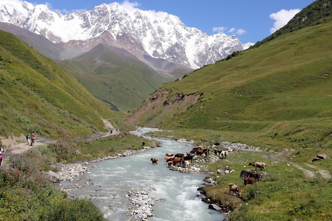 조지아 / 사진=PEXELS