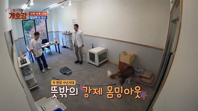 (사진 제공 = JTBC ‘집 나가면 개호강’)