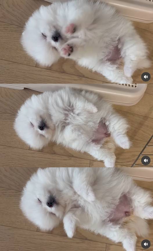 / 사진=개인계정