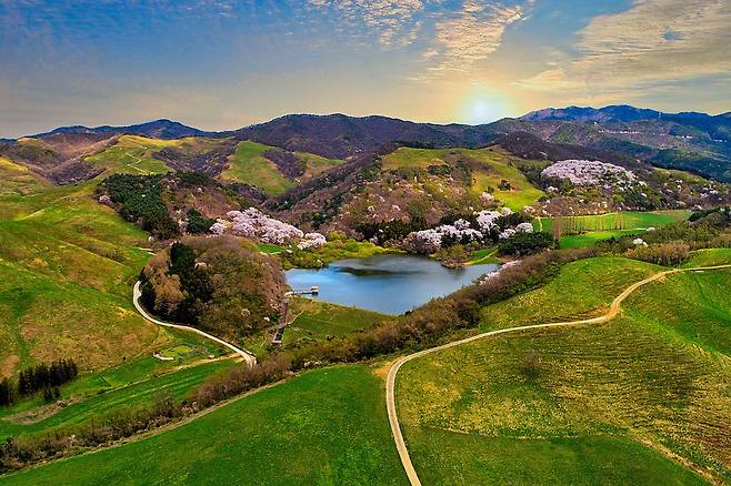 '아름다운 드라이브 길' 서산 한우목장 길 [충남도 제공. 재판매 및 DB 금지]