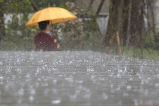 지난달 16일 서울 중구 서울시청 앞에 강한 비가 쏟아지고 있다. 사진=뉴시스