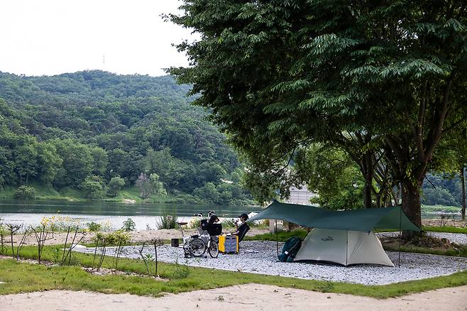강천섬에서 남한강을 곁에 두고 캠핑을 즐기는 캠퍼들. / 이경호 영상미디어 기자