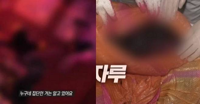 ⓒSBS 유튜브 채널 영상 갈무리