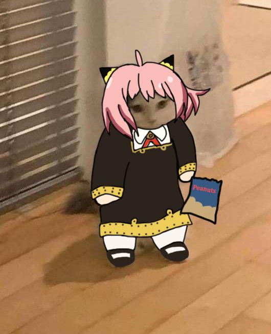 viewimage.php?id=3eb4de21e9d73ab360b8dab04785736f&no=24b0d769e1d32ca73de883fa1bd62531caf022a001a6328b8fcf4dbd347c70c7bea1af72acbf066245f181cfc8a89d6fd4108a555f14b73e8271b5cbf58841f78d023c00cc68a4546b2813