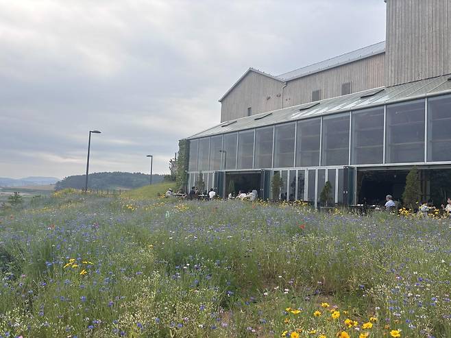 파머스빌리지에서 조식을 즐기는 사람들.&nbsp;황소영 기자 fangso@donga.com