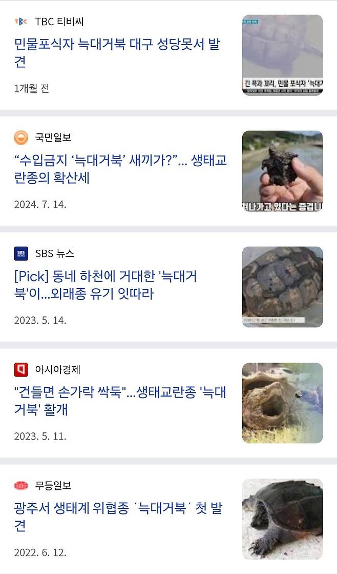 Screenshot_20250614_063253_Chrome.jpg 생태계 교란종 "늑대거북"이 위험한 이유