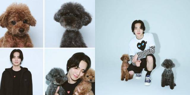 샤이니 멤버 키가 패션 브랜드 '꼼데가르송' 티셔츠를 입고 반려견 꼼데,가르송과 화보 촬영을 진행했다. 인스타그램 @bumkeyk