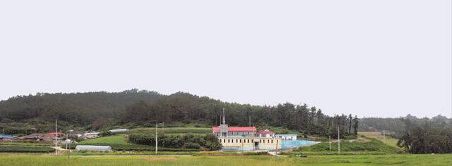 전남 목포 달리도의 한 시골 마을 풍경. 국민일보DB, 그래픽=강소연