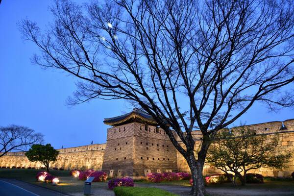 의궤에 포루에 대한 규격은 서포루만 기록됐다. 이강웅 고건축전문가