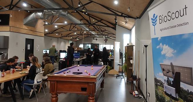 바이오스카우트 직원들이 사무실에서 자유롭게 일하며 휴식을 취하고 있다.