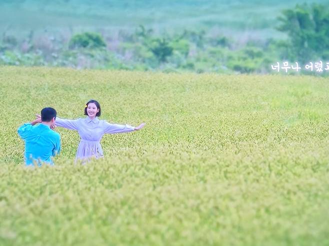 ‘폭싹 속았수다’&nbsp;최종화 오라동 청보리밭 장면. 영상 캡처