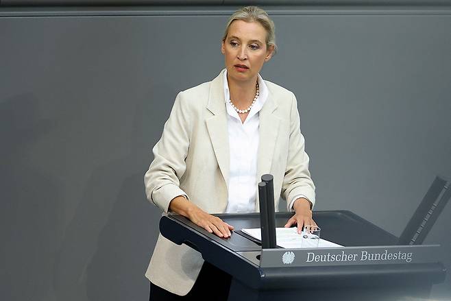 알리스 바이델 Afd 공동대표. ⓒREUTERS