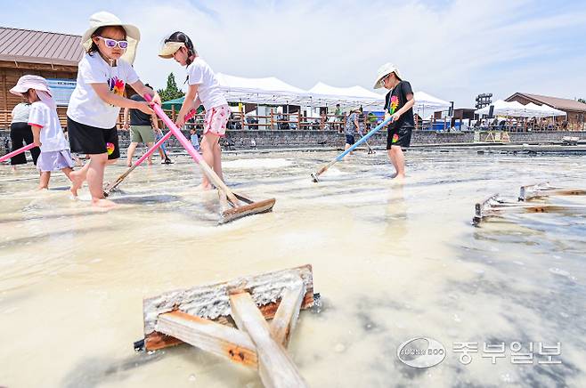15일 오전 시흥시 갯골생태공원 염전체험장에서 열린 제8회 시흥염전소금제에서 어린이들이 염전체험을 하며 즐거운 시간을 보내고 있다. 임채운기자