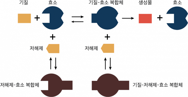 저해제 매커니즘을 나타낸 그림.(츨처: KAIST)