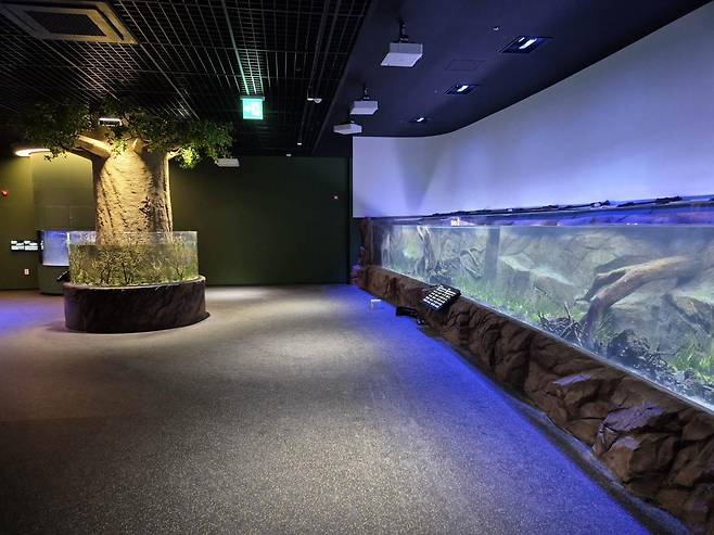 충북 단양의 대표 관광 명소인 단양 다누리아쿠아리움이 시설 보강을 마치고 내달 1일 정식 개관한다. 사진은  에코리움. 단양군 제공