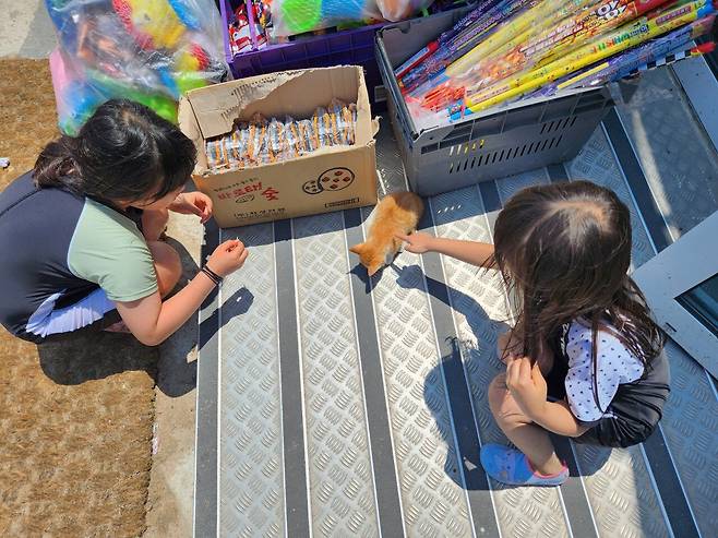 1000025476.jpg 바다 왔어요~~~