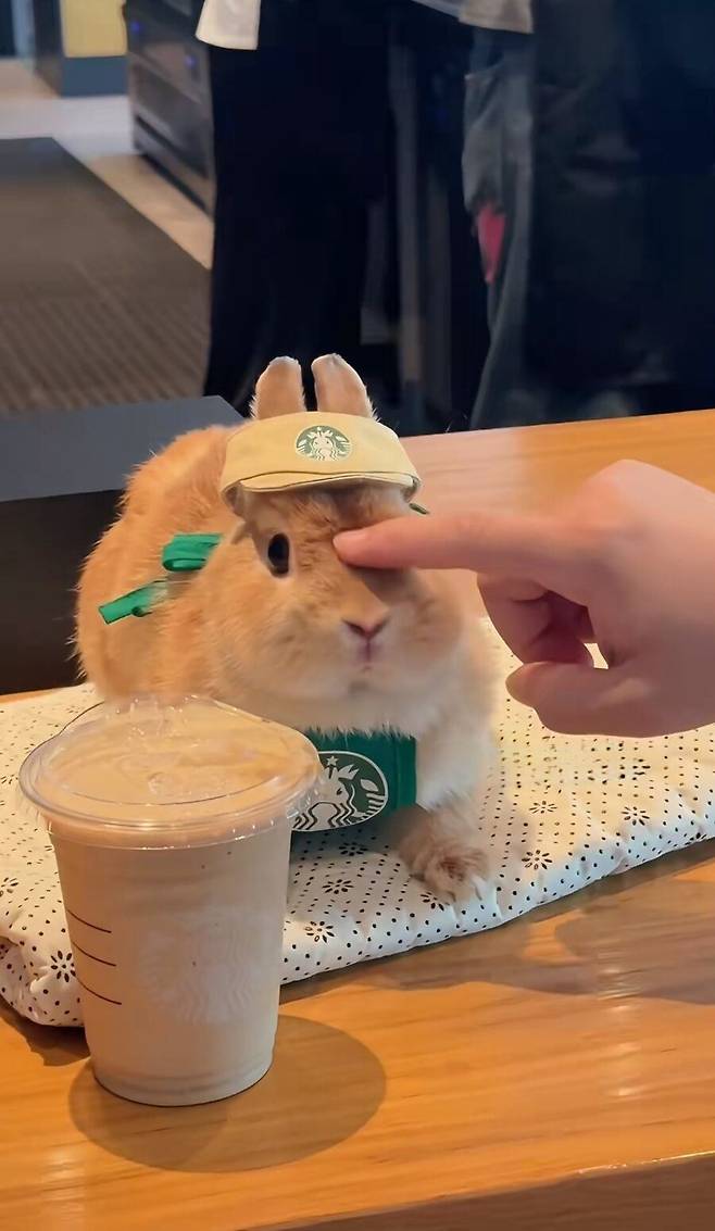 스타벅스의 귀여운 똥싸개 점원