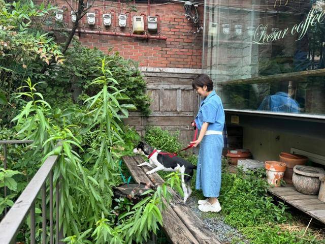 지금은 능숙하게 산책을 해낼 정도로 루돌이 양육에서 가장 많은 지분을 갖고 있지만, 입양 초기만 해도 정이현 작가는 감당할 수 없는 돌봄노동에 눈물을 쏟을 정도였다. 한겨레출판 제공