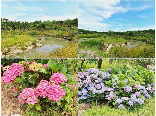 전남 고흥의 금세기정원. 사진=고흥군청