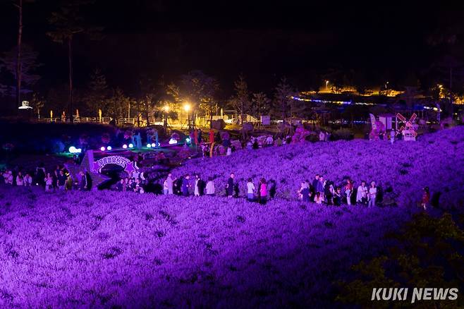 14일 밤 동해시 무릉별유천지에서 관람객들이 라벤더축제 야간개장을 즐기고 있다. (사진=동해시)