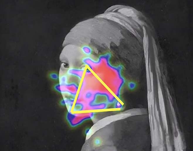 연구 결과 밝혀진 관람객이 작품을 바라보는 삼각형 패턴. [마우리츠하위스 미술관]