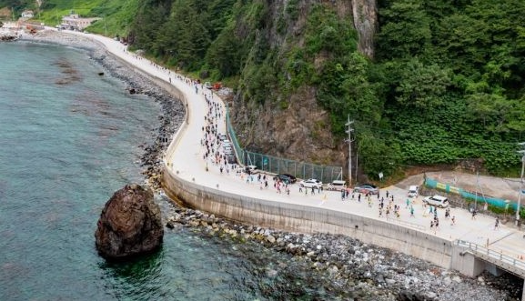독도 지키기 울릉도 국제 마라톤 대회에 참가한 선수들이 울릉도 해안도로를 질주하고 있다[헤럴드 DB]