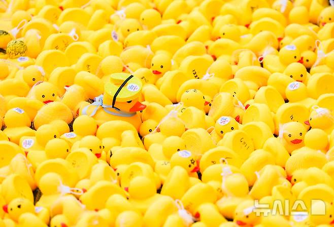 [김포=뉴시스] 황준선 기자 = 15일 경기 김포시 마리나베이에서 열린 아라마린페스티벌에서 포리레이스 경기가 펼쳐지고 있다. 2025.06.15. hwang@newsis.com