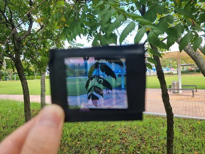 [울산=뉴시스] 구미현 기자 = 울산과학기술원(UNIST)은 에너지화학공학과 양창덕 교수팀이 10.81%의 광전변환효율과 45.43%의 가시광선 투과율을 기록한 반투명 유기태양전지를 개발했다고 15일 밝혔다. 개발된 반투명 태양전지 모듈 (사진=UNIST 제공) photo@newsis.com *재판매 및 DB 금지