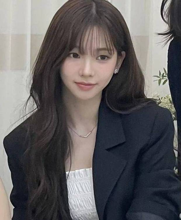 티브이데일리 포토