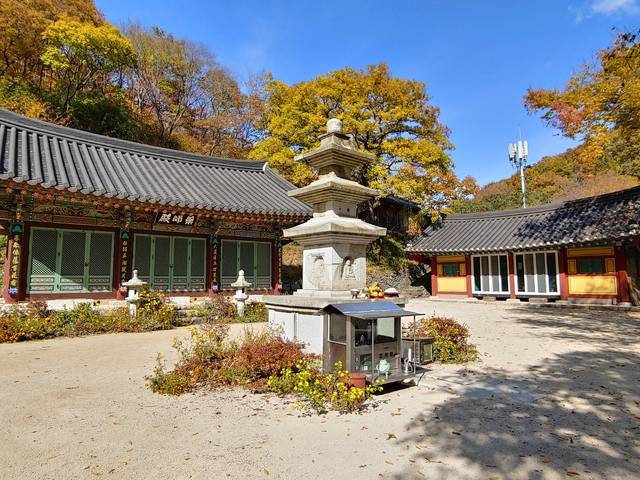 원광법사의 부도탑으로 전하고 있는 경주 금곡사 금당과 부도탑.