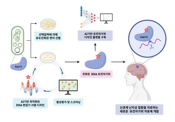 유도진화 활용 차세대 RNA 유전자 편집 기술 개발 모식도.