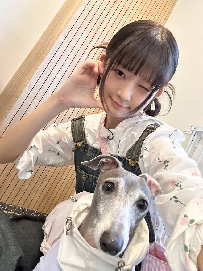 '집 나가면 개호강' 아이브 레이, 시청각 장애견 테토와 특별한 우정&nbsp; [사진 = JTBC '집 나가면 개호강' 방송 캡처]